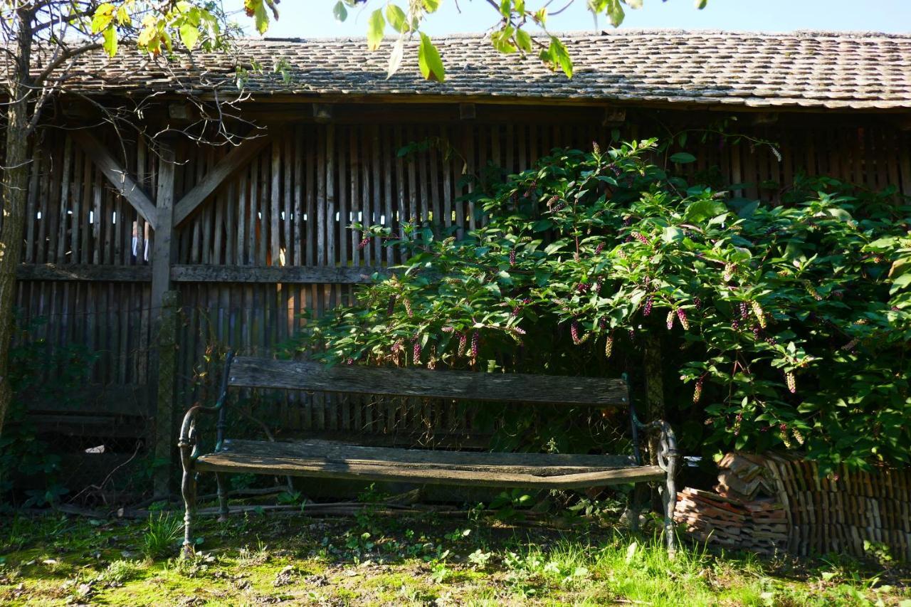 דירות Kneževi Vinogradi House Of Lovra מראה חיצוני תמונה